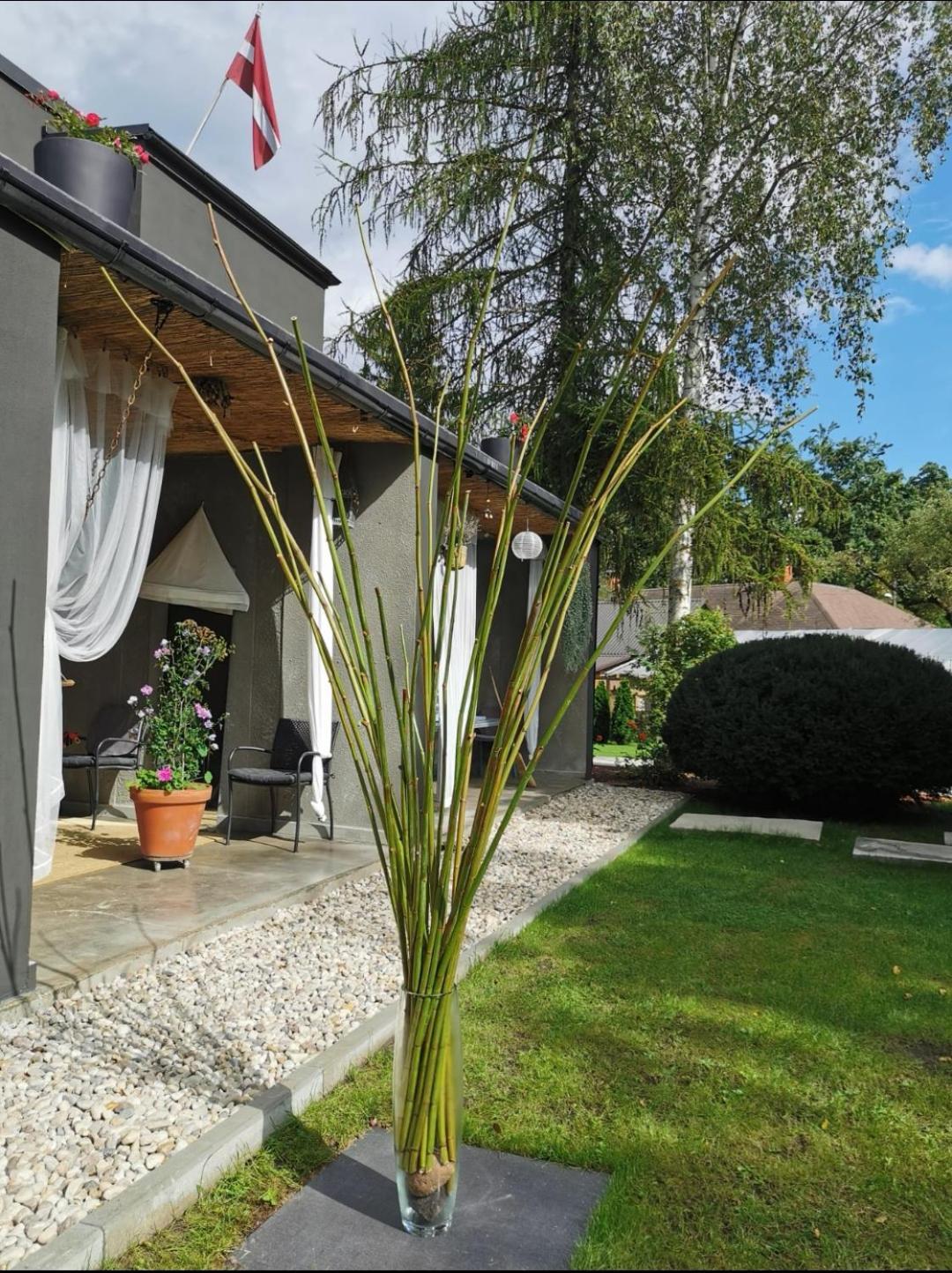 Homestay R9 Riga